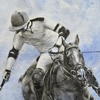 Polo paintings