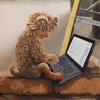 Boardroom Mural, Lincoln