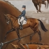 Equestrian portrait; Tina Cook's medal winners