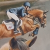 Equestrian portrait; Tina Cook's medal winners