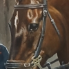 Equestrian portrait; Tina Cook's medal winners
