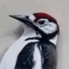 Murals near Northleach